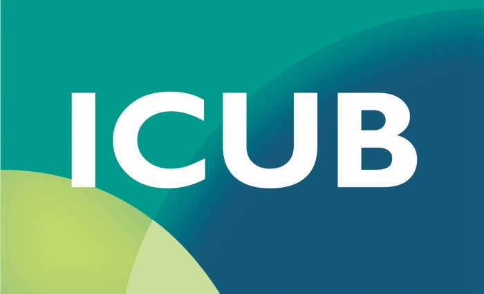 2 Logo ICUB ALES