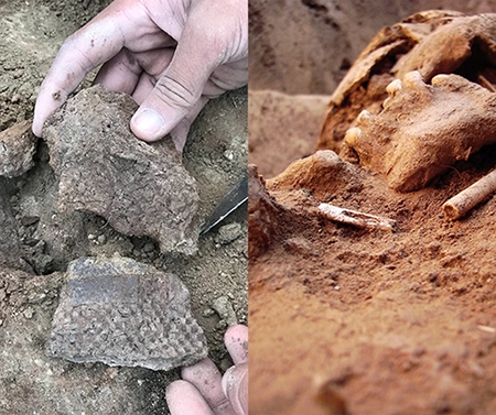 foto știre-interviuri ZEA 2024 var mică