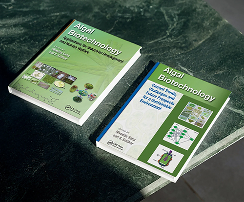 mockup algal biotechnology stire_mic